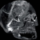Image for article titled Should we be tracking down crystal skulls in order to save the world?